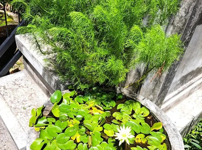 Séjour chez l'habitant Ascarya Sanur