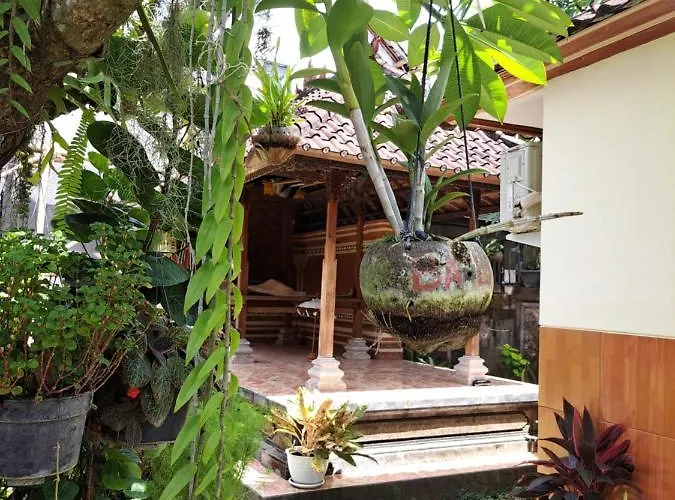 Ascarya Accommodatie bij particulieren *