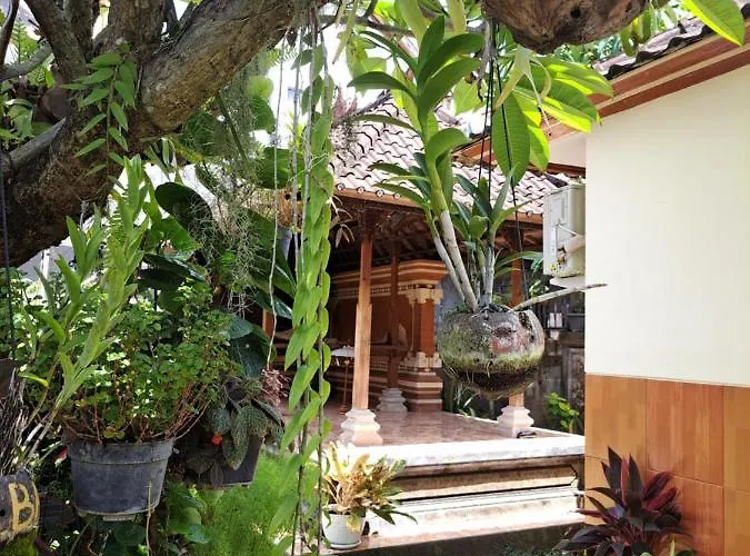 Accommodatie bij particulieren Ascarya