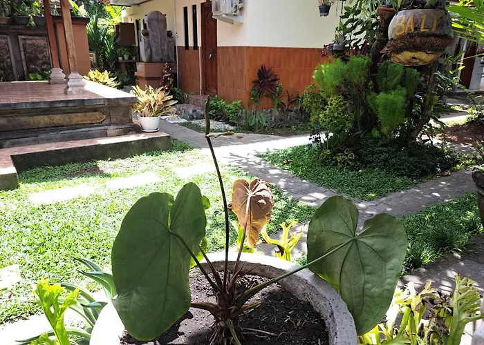 Séjour chez l'habitant Ascarya *