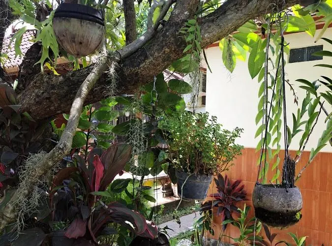 Ascarya Accommodatie bij particulieren Sanur