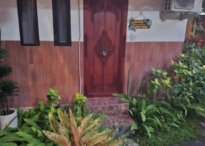 Accommodatie bij particulieren Ascarya